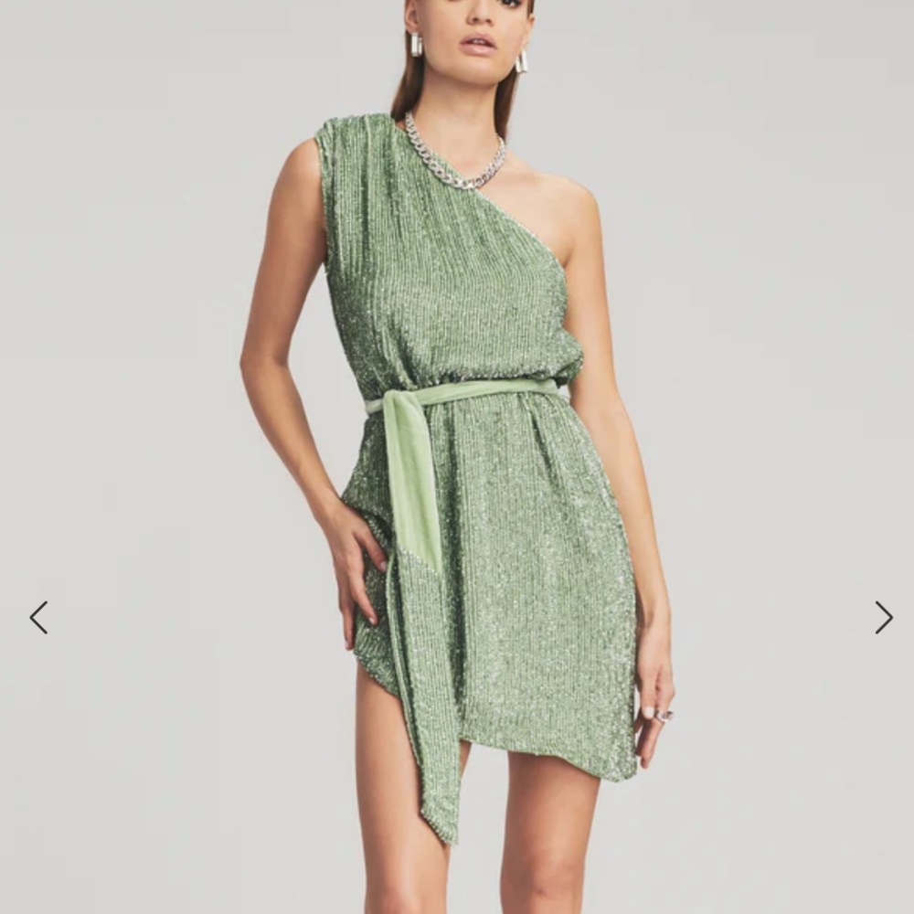 RETROFETE Ella Dress in Sage. Great Condition, Worn once